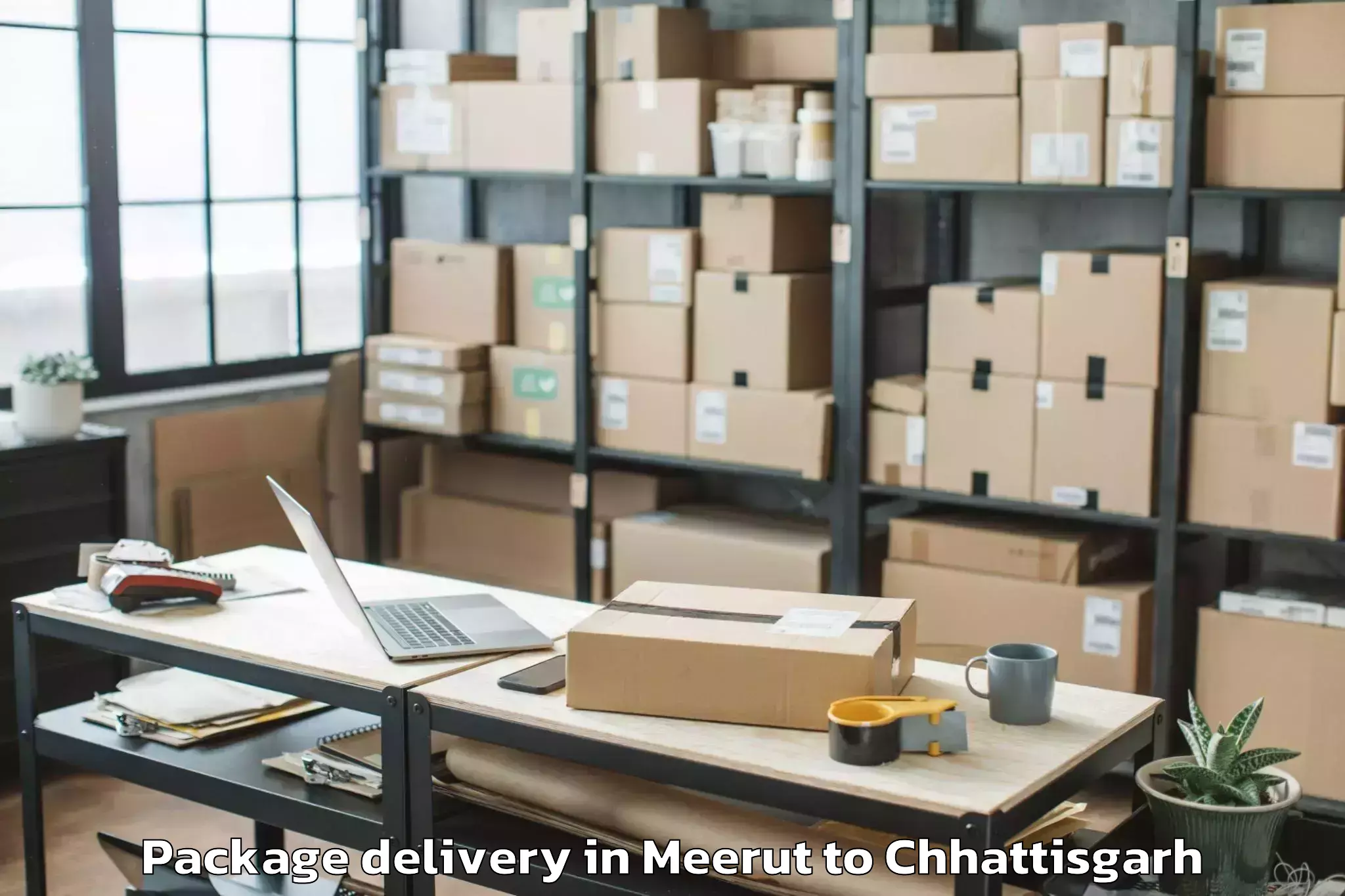 Reliable Meerut to Korba Package Delivery